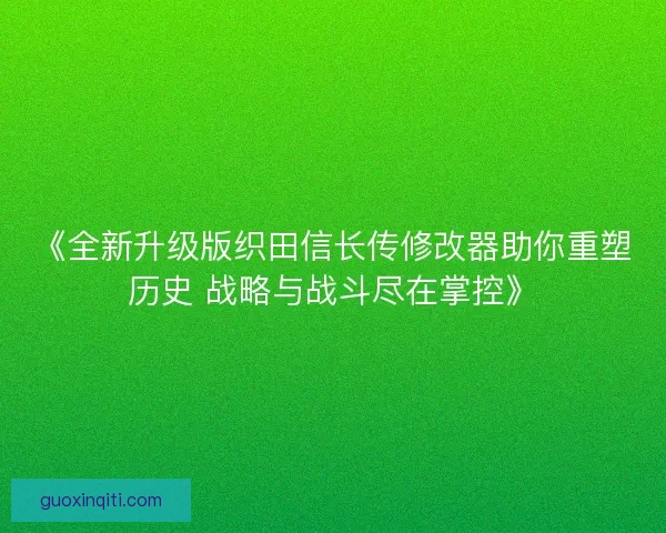 《全新升级版织田信长传修改器助你重塑历史 战略与战斗尽在掌控》